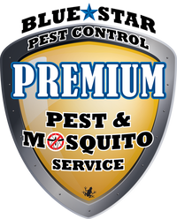 Premium Pest Control Service