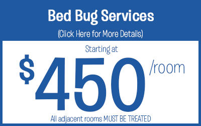 Bed Bug Service Treatments starting @ $450 per room treated 