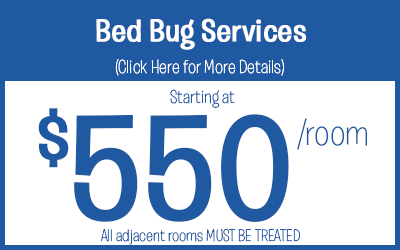 Bed Bug Service Treatments starting @ $550 per room treated 
