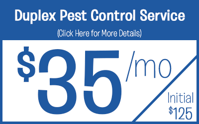 Duplex Pest Control Service Protection @ $35 a month