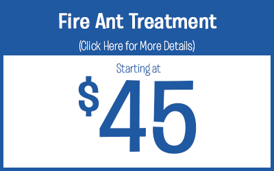Fire Ant Treatment starting @ $45