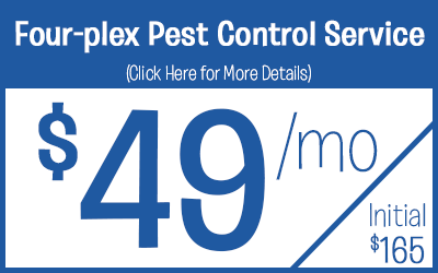 Four-Plex Pest Control Service Protection @ $49 a month
