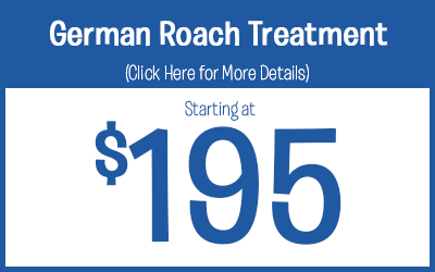 German Roach Treatments starting @ $195