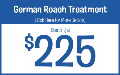 German Roach Treatments starting @ $225