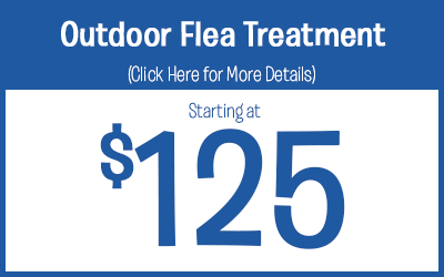 Outdoor Flea Treatments Starting @ $145