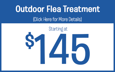 Outdoor Flea Treatments Starting @ $145