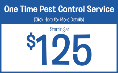 One Time Pest Control Service Treatments starting @ $125