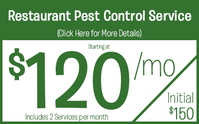 Full Service Restaurant  starting @ 120 a month, includes 2 monthly scheduled services