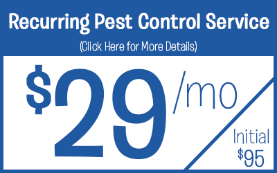Residential
Pest Control Service Protection @ $29 a month