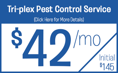 Tri-Plex Pest Control Service Protection @ $42 a month